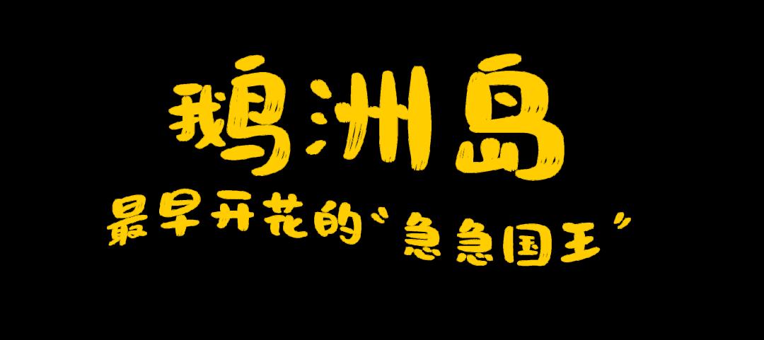 �����İ�С�t��(sh��)��D